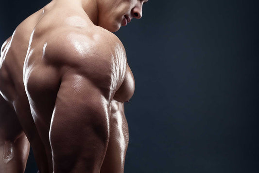 How to Create a Perfect Muscle Building Workout