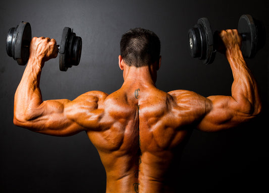Muscle Hypertrophy Program the Best Way to Build Muscle