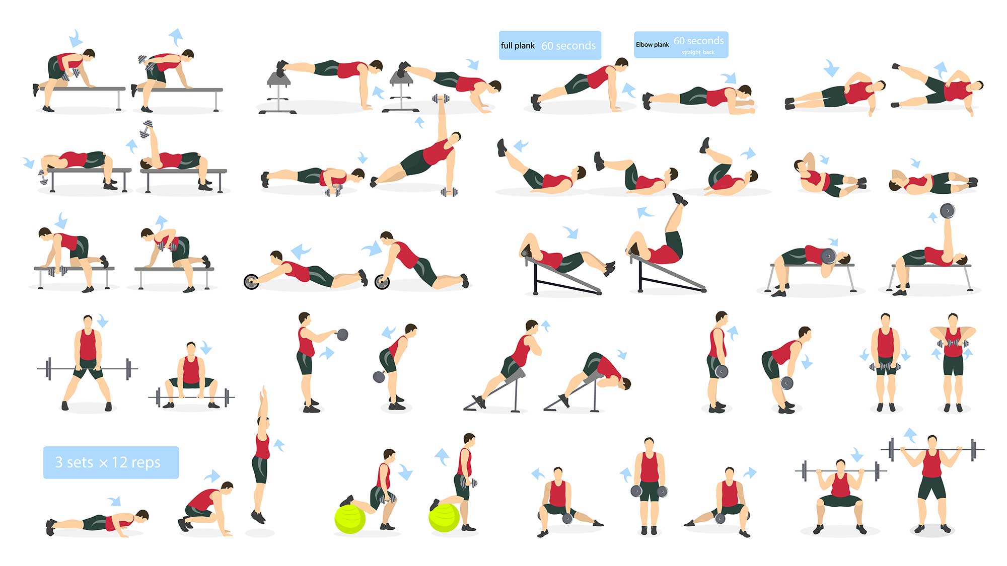 The Ultimate Full Body Workout – Nitrocut