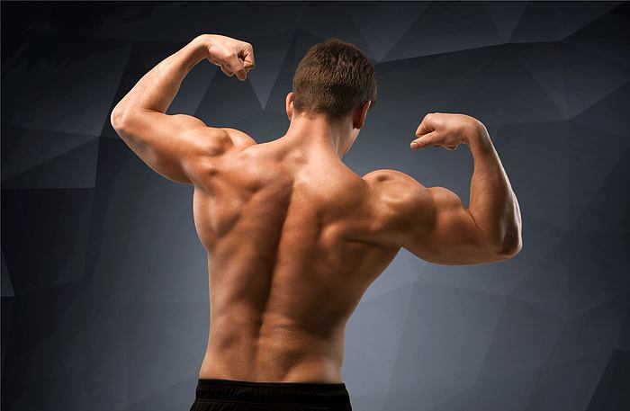 Achieve a Chiselled Body: 8-Week Muscle Building Guide