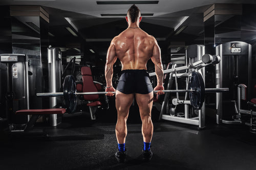 Good Back Workouts You Should Add to Your Workout Routine