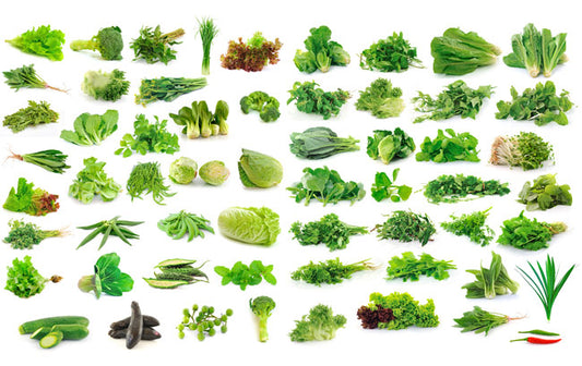 High Protein Vegetables