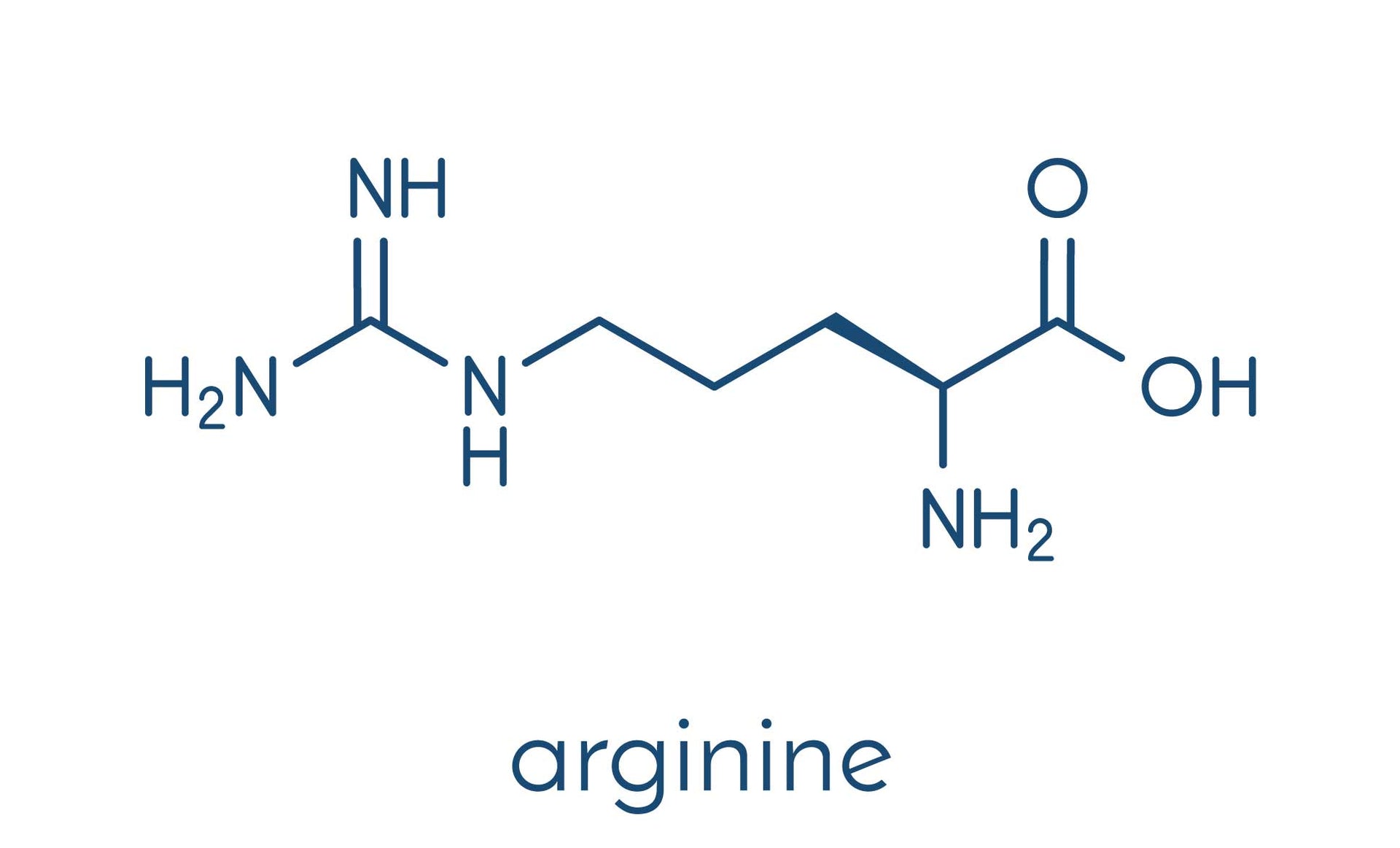 l carnitine helps in weight loss Why Carnitine is Still the Best Fat Loss Supplement After All These Years