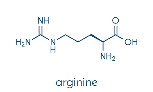 How L-Arginine and L-Citrulline Make The Perfect Pre-Workout Combo