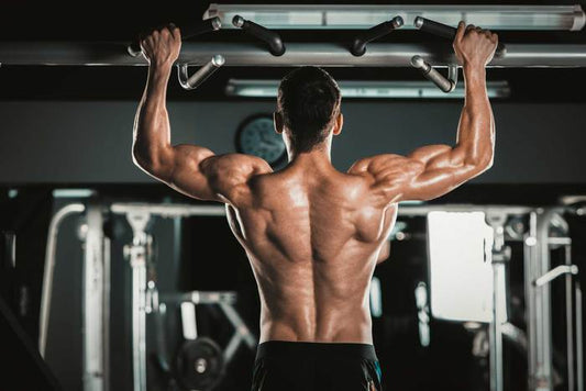 How to Build a MASSive Back