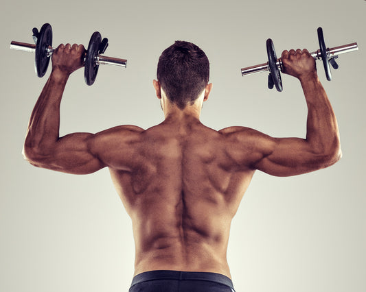Why is Your Lats Muscle Important