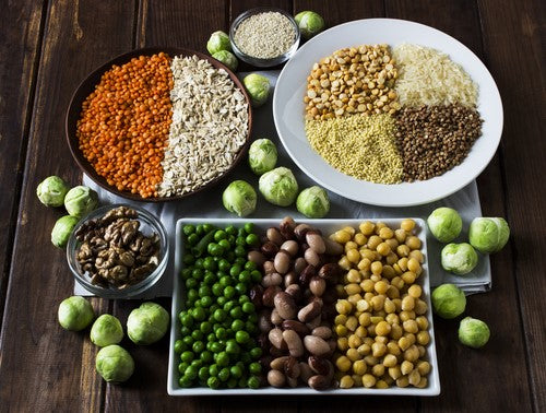 20 Choices of the Highest Quality Protein for Vegetarians