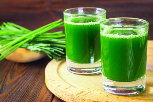 The Life-Changing Benefits of Wheatgrass